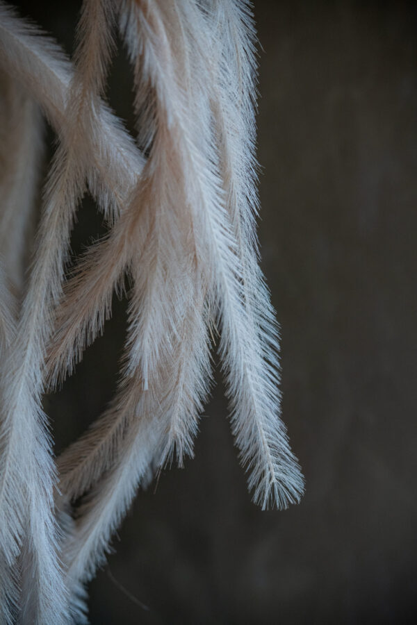 Artificial feather beige - Signature Editions