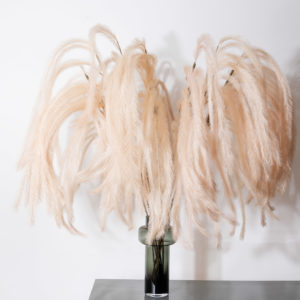 Artificial feather beige - Signature Editions