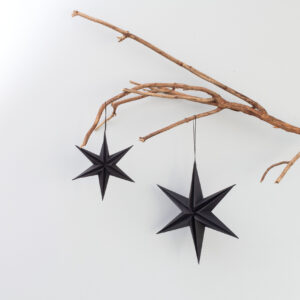 Christmas star paper pendant 30 cm black - Signature Editions