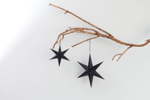 Christmas star paper pendant 30 cm black - Signature Editions
