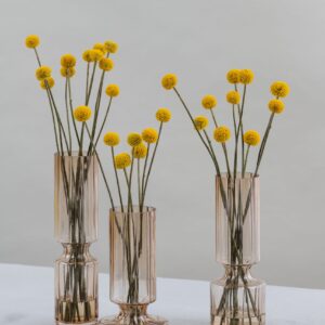 Allium vase set of 3- Amber - Signature Editions