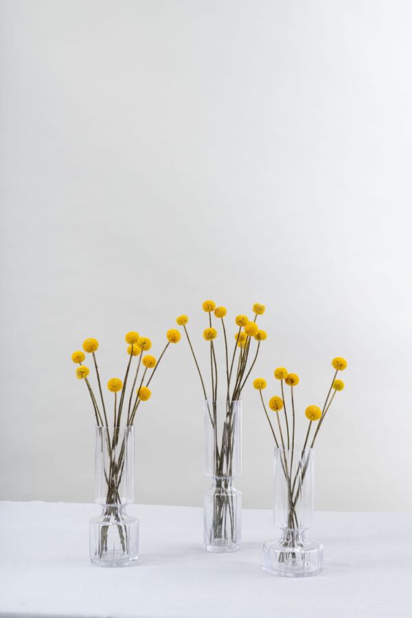 Allium clear vase set of 3 - Signature Editions