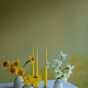 Spring box of candles-Daffodil Day-Signature Editions