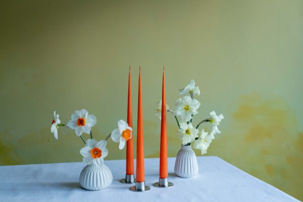 Spring box of candles-Daffodil Day-Signature Editions