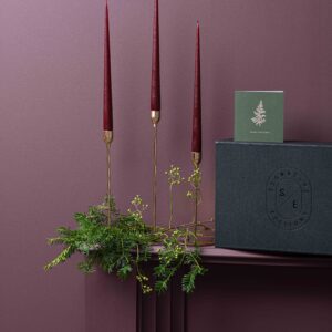 Signature Editions-Christmas-Box of Joy