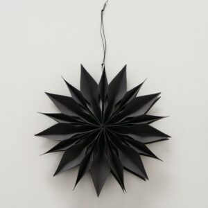 Holly black snowflake pendant-Signature Editions