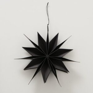 Ivy black snowflake pendant-Signature Editions