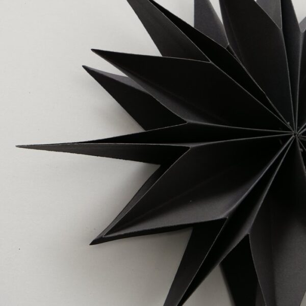Ivy black snowflake pendant-Signature Editions