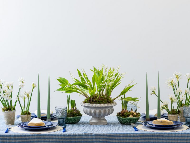 Spring serenity tablescape-Signature Editions